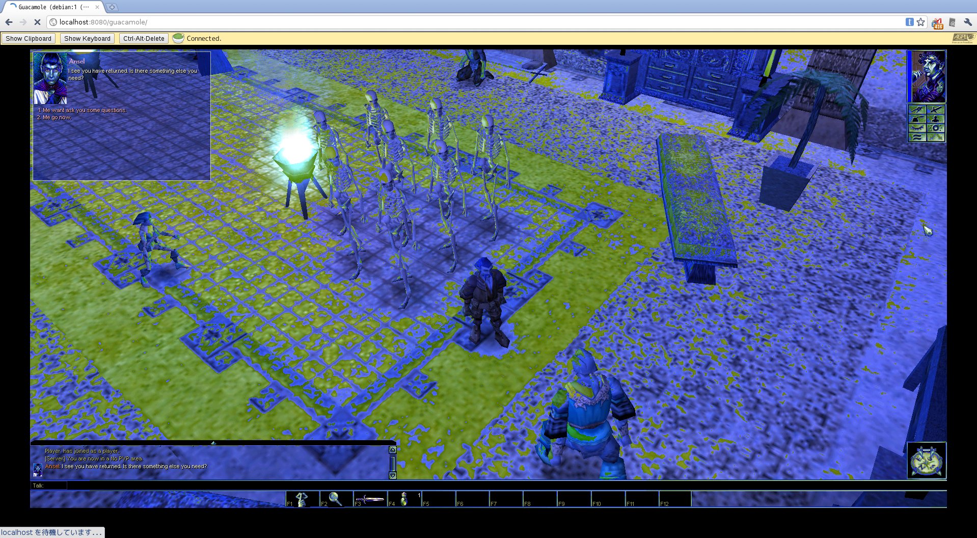 Neverwinter Nights